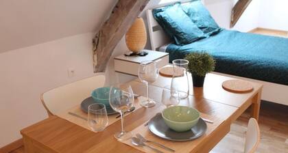 RĂSIDENCE MILA - 6 - HYPER CENTRE - TRAMWAY