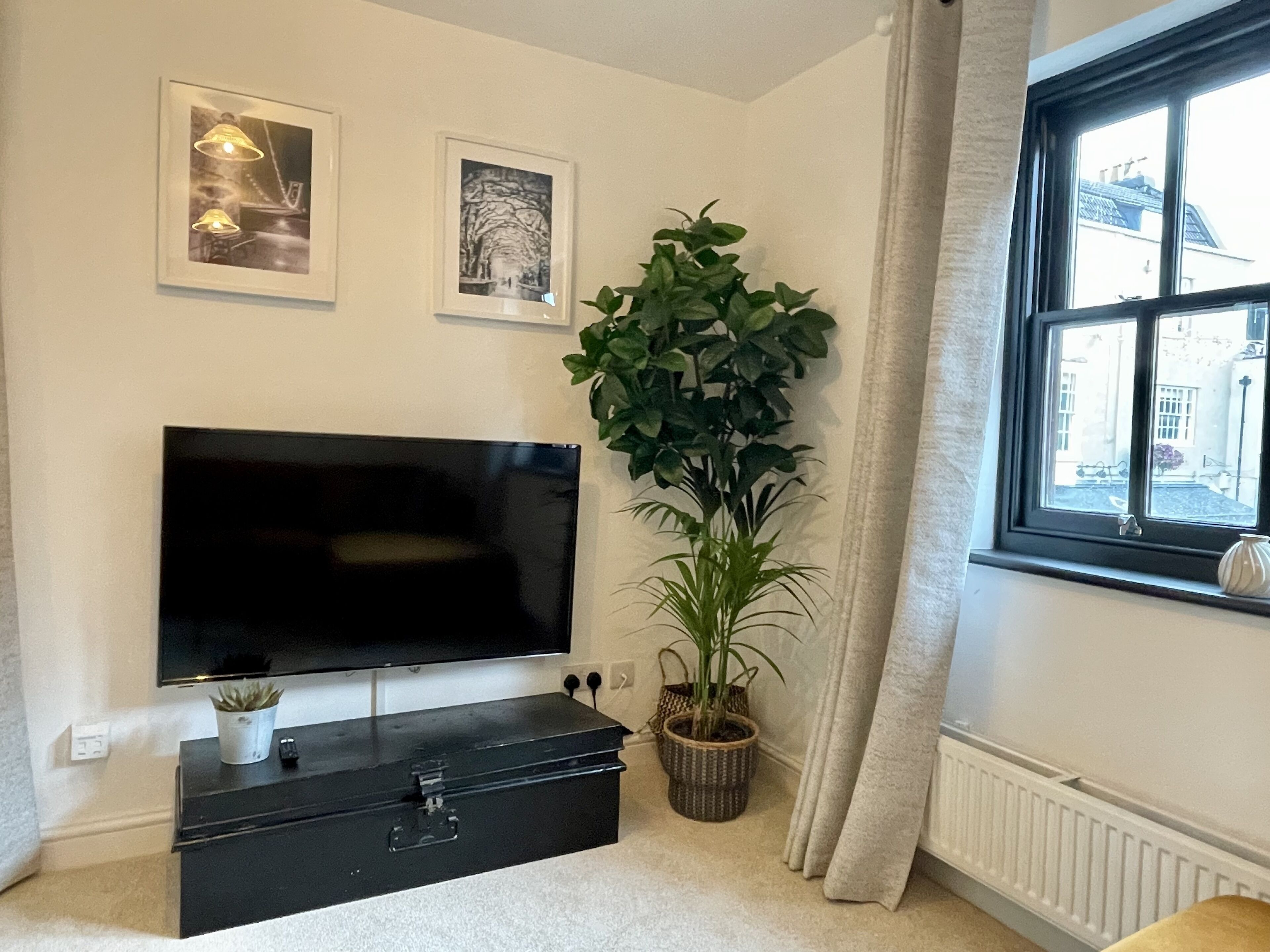 A living room with a flat-screen TV mounted on the wall, a black entertainment unit below, a large potted plant, and a window with curtains.