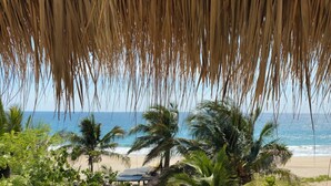 A beach with palm trees and a view of the ocean. - Beachfront villa is settled in Playa Agua Blanca 25 min from Puerto Escondido.  (Santa Maria Tonameca)