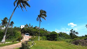 A pathway leading to a building surrounded by palm trees and greenery. - Villa Siempre Domingo (Tenacatita)