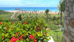A view of a beach with palm trees and a stone wall. - Villa Siempre Domingo (Tenacatita)