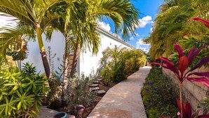 A narrow pathway flanked by lush greenery and a white building. - Sugarview Villa Cottage:  Coral Bay, Ocean View (St John)