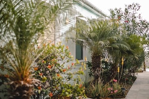 A building with a white exterior, surrounded by lush greenery including palm trees and flowering plants.