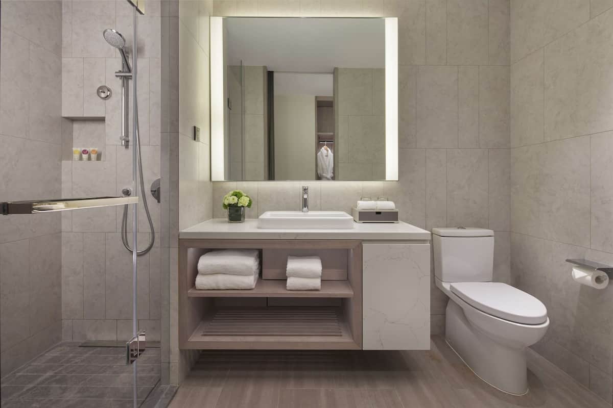 shower, rainfall showerhead, free toiletries, hair dryer