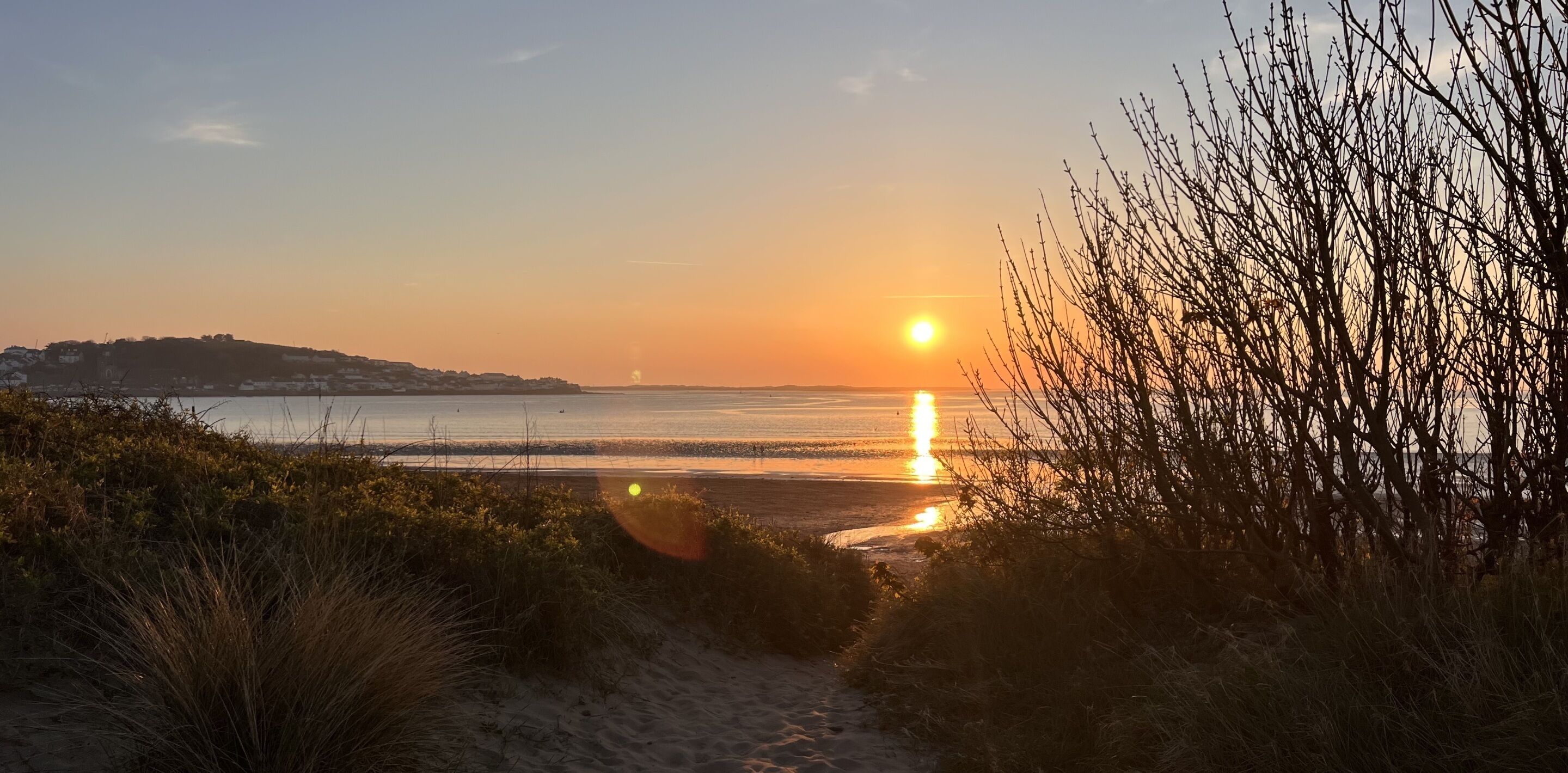 A beach scene with a sunset, sandy path, and sparse vegetation.