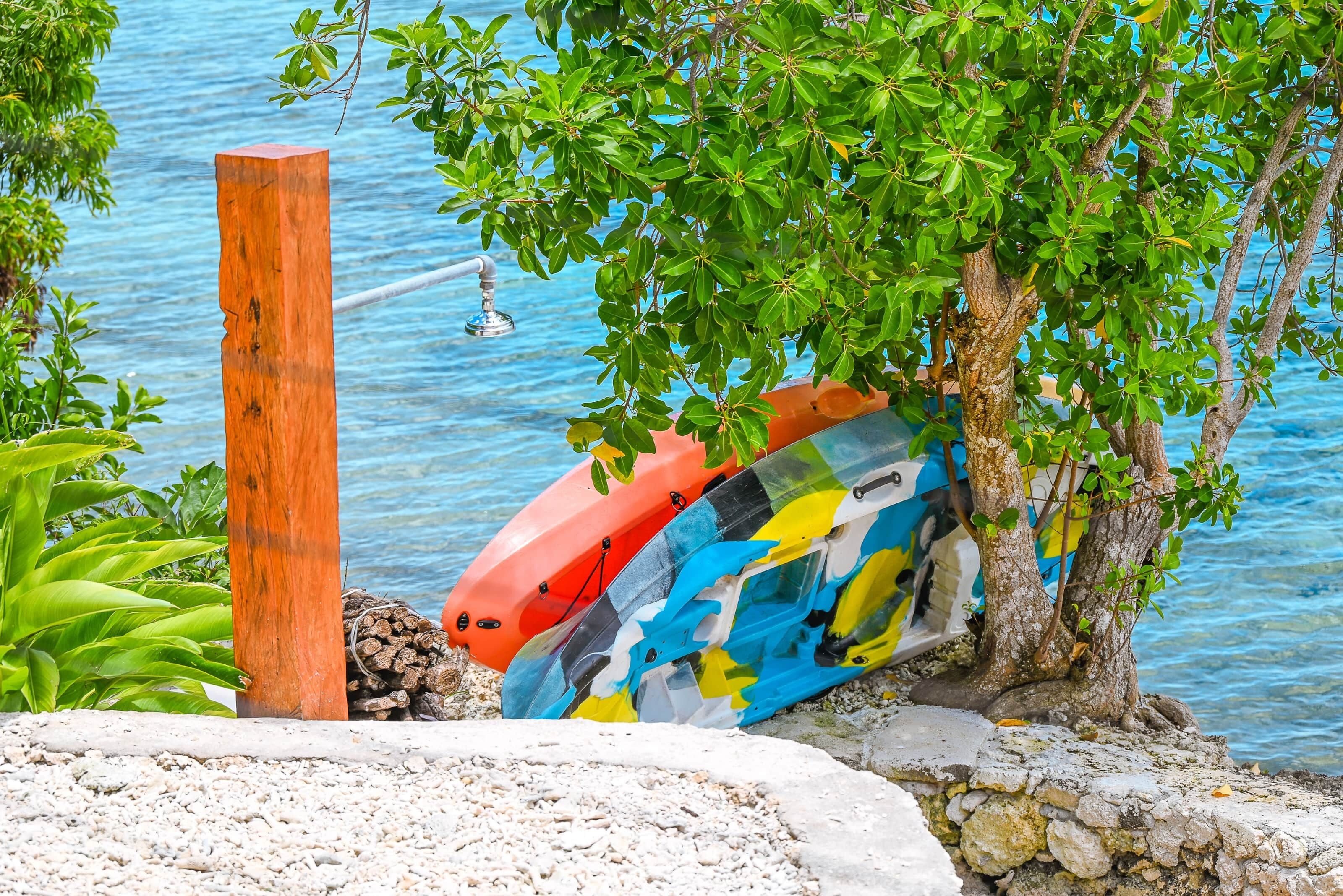 Un palo di legno, un kayak colorato e un albero vicino all'acqua.