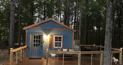 Knotty Pines Cabin Home near Kentucky Lake