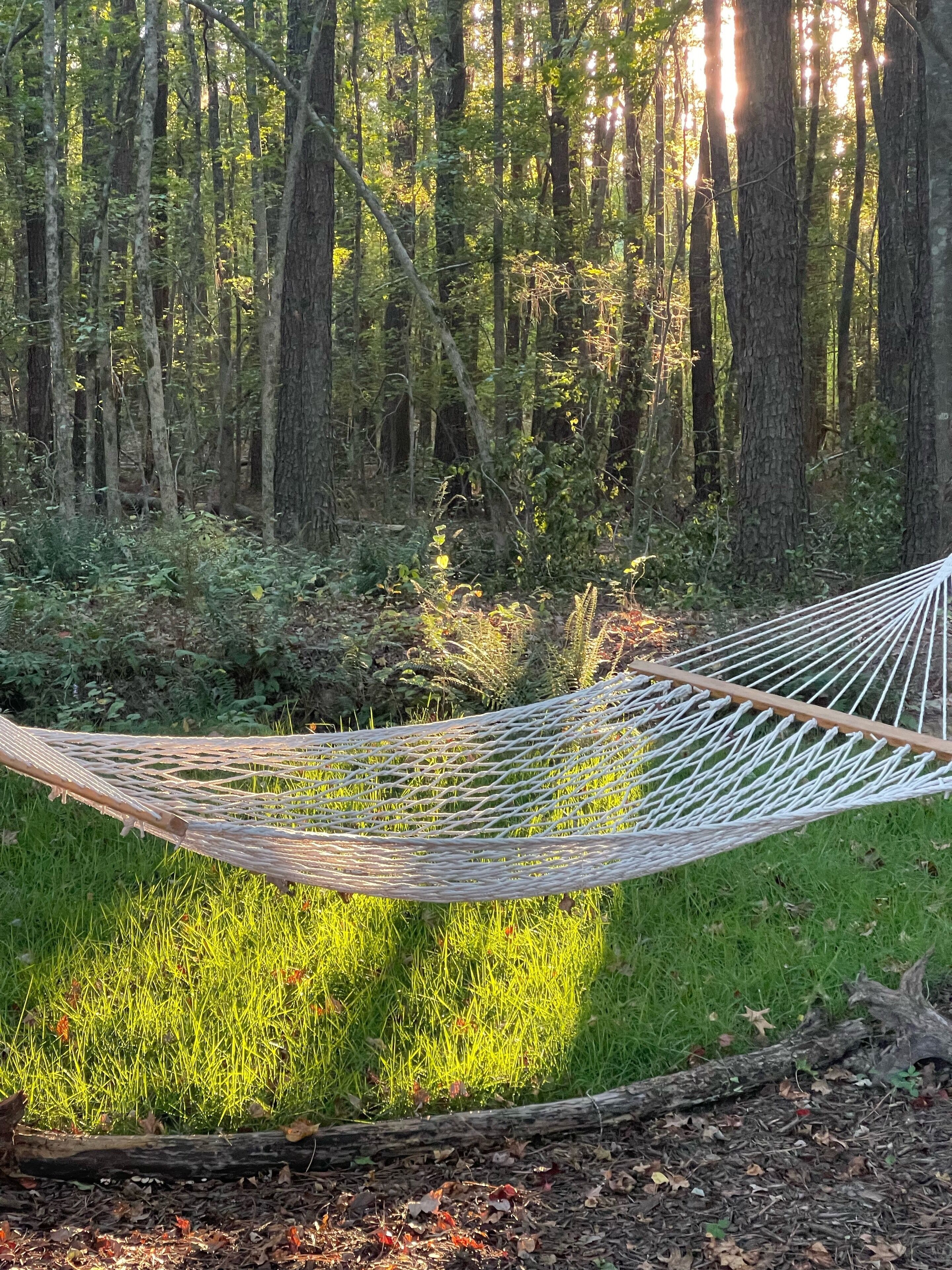 A hammock in a forested area with dense trees and grass.