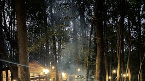 A rustic wooden cabin surrounded by trees, with a stone fire pit and string lights. - Fern Hollow Treehouse, rustic escape cozy romantic (Tishomingo)