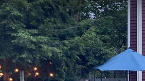A backyard with a barbecue grill, outdoor chairs, and a blue umbrella. - Renovated Victorian in 'Americas Coolest Small Town' (Hammondsport)