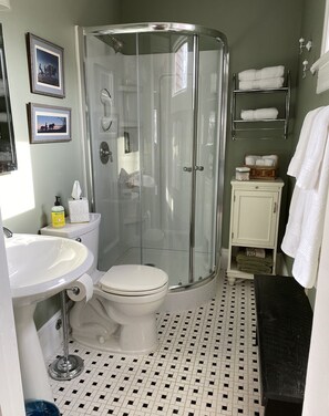 Shower, hair dryer, towels, soap - Renovated Victorian in 'Americas Coolest Small Town' (Hammondsport)