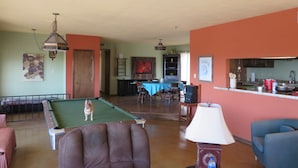 Een woonkamer met een pooltafel, een hond, een blauwe fauteuil en een keuken op de achtergrond.