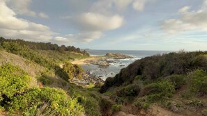 Paisagem costeira com terreno rochoso, vegetação densa e vista para o oceano.