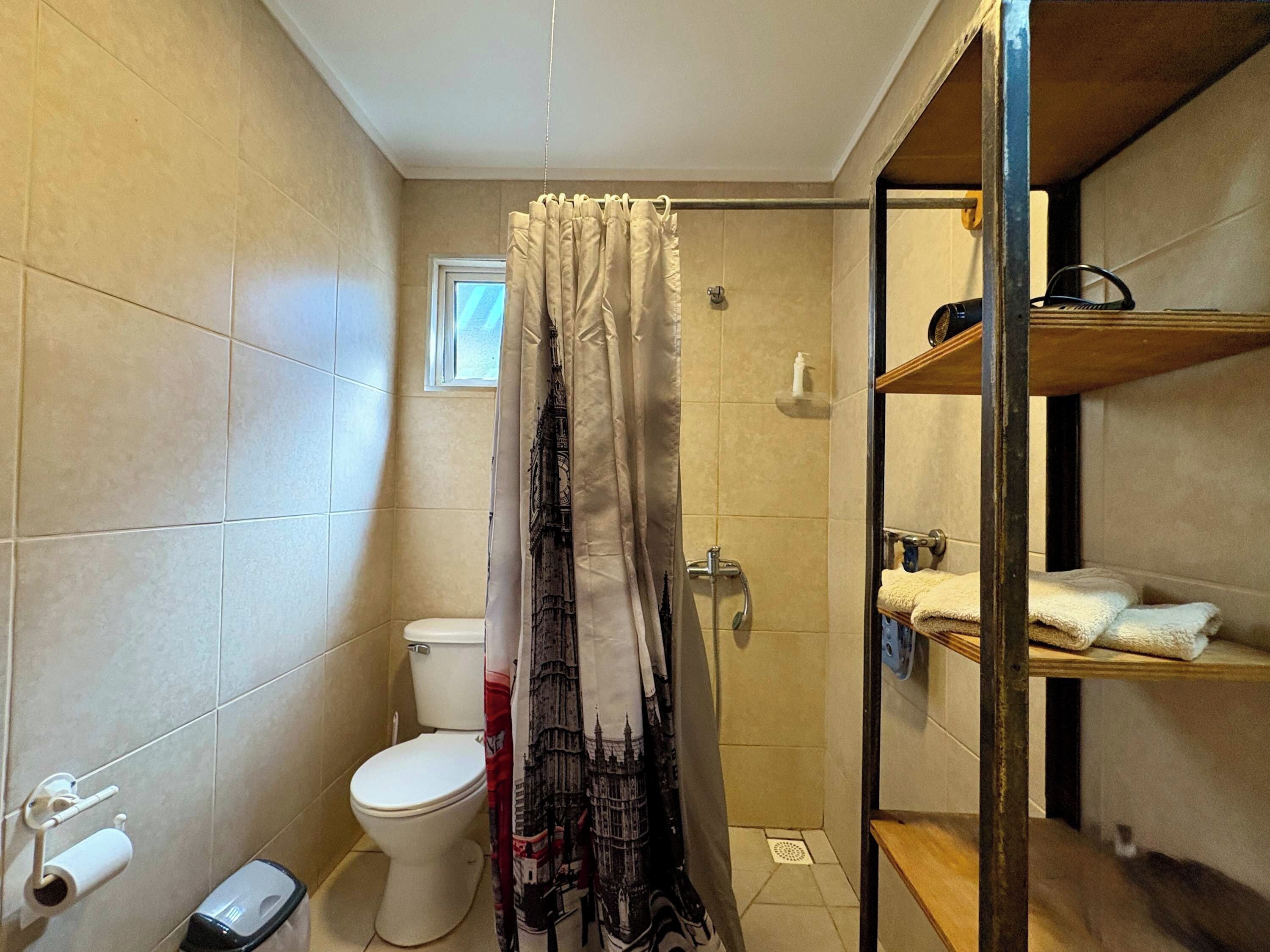 A small bathroom with a toilet, a shower, and a shelf with towels.