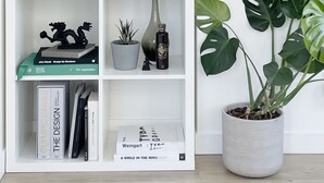 A white bookshelf with decorative items, a potted plant, and a mounted TV. - The Designist: Downtown Apt with Water Views, Pool, Parking, AC (Vancouver)