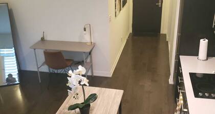 Luxury Spacious Condo Downtown