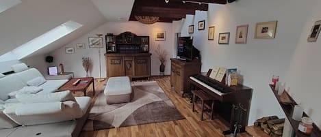 智能電視、壁爐、電子遊戲、DVD 播放機