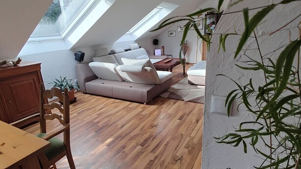 A loft-style room with a wooden floor, a dining table with chairs, a sofa, and a small table with a chair. There are skylights and a potted plant. - Vacation apartment Biene (Saarbrücken)