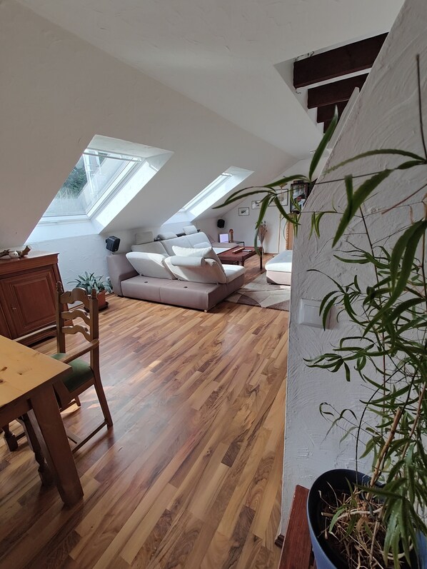 Smart TV, fireplace, video games, DVD player