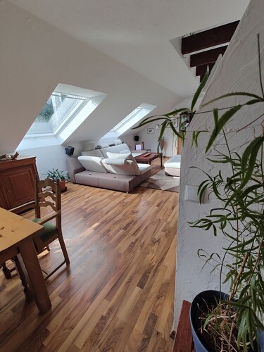 Vacation apartment Biene