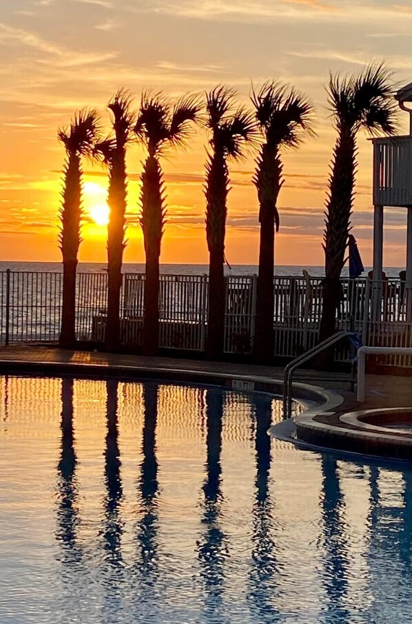 Relax by the serene pool surrounded by palm trees and the soothing sound of the ocean.