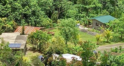 Mountain Cottage surrounded by the native birds, the Amazona Guildingii