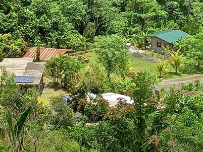 Mountain Cottage surrounded by the native birds, the Amazona Guildingii
