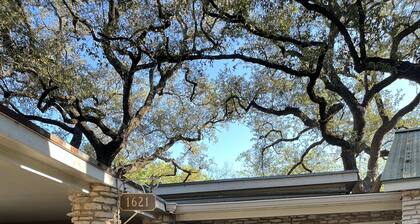 Cozy studio under the Oaks, easy walk to Zilker park and fun!