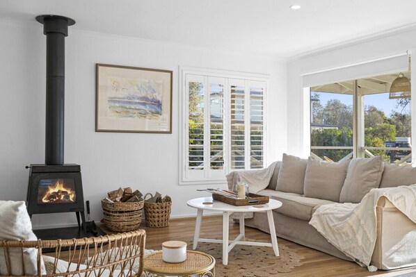 Smart TV, fireplace, books