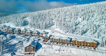 Grizzly Ridge Getaway Brand New, Hot Tub, Sleeps 11