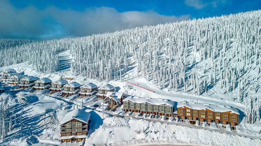 Grizzly Ridge Getaway Brand New, Hot Tub, Sleeps 11