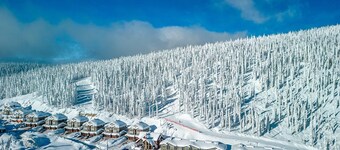 Grizzly Ridge Getaway Brand New, Hot Tub, Sleeps 11