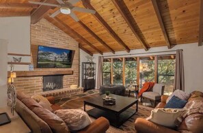 Smart-TV, Kamin, Bücher, Arbeitsbereiche