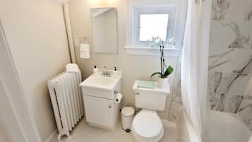 Shower, hair dryer, towels, shampoo