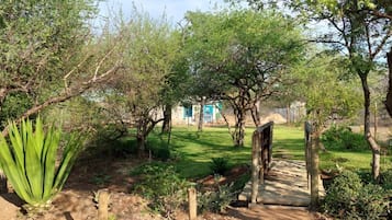 Vista del jardí