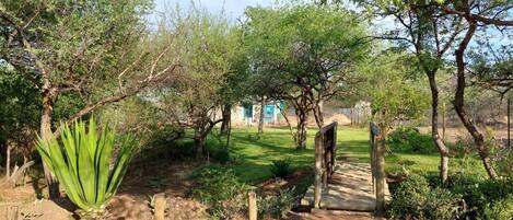 Un sendero en un jardín que lleva a un edificio con puerta azul, rodeado de árboles y vegetación.