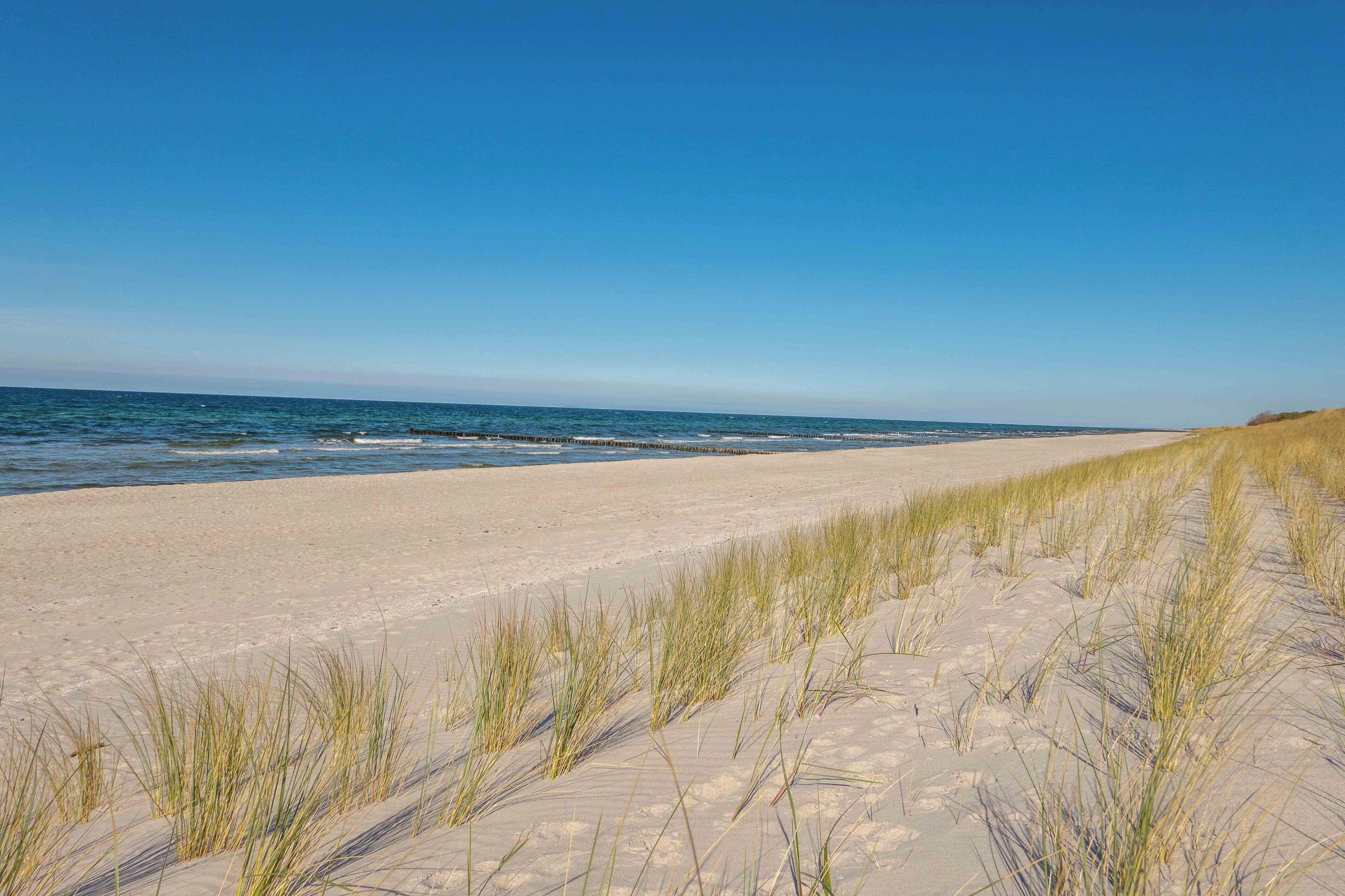 In Strandnähe, Liegestühle