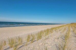 Una spiaggia sabbiosa con dune e erba in primo piano.