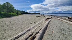 Ein Strand mit Treibholz, Bäumen und blauem Himmel.