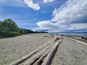 Playa en los alrededores y camastros 