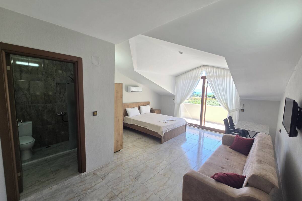 A bedroom with a bed, a sofa, a TV, and a bathroom with a shower.