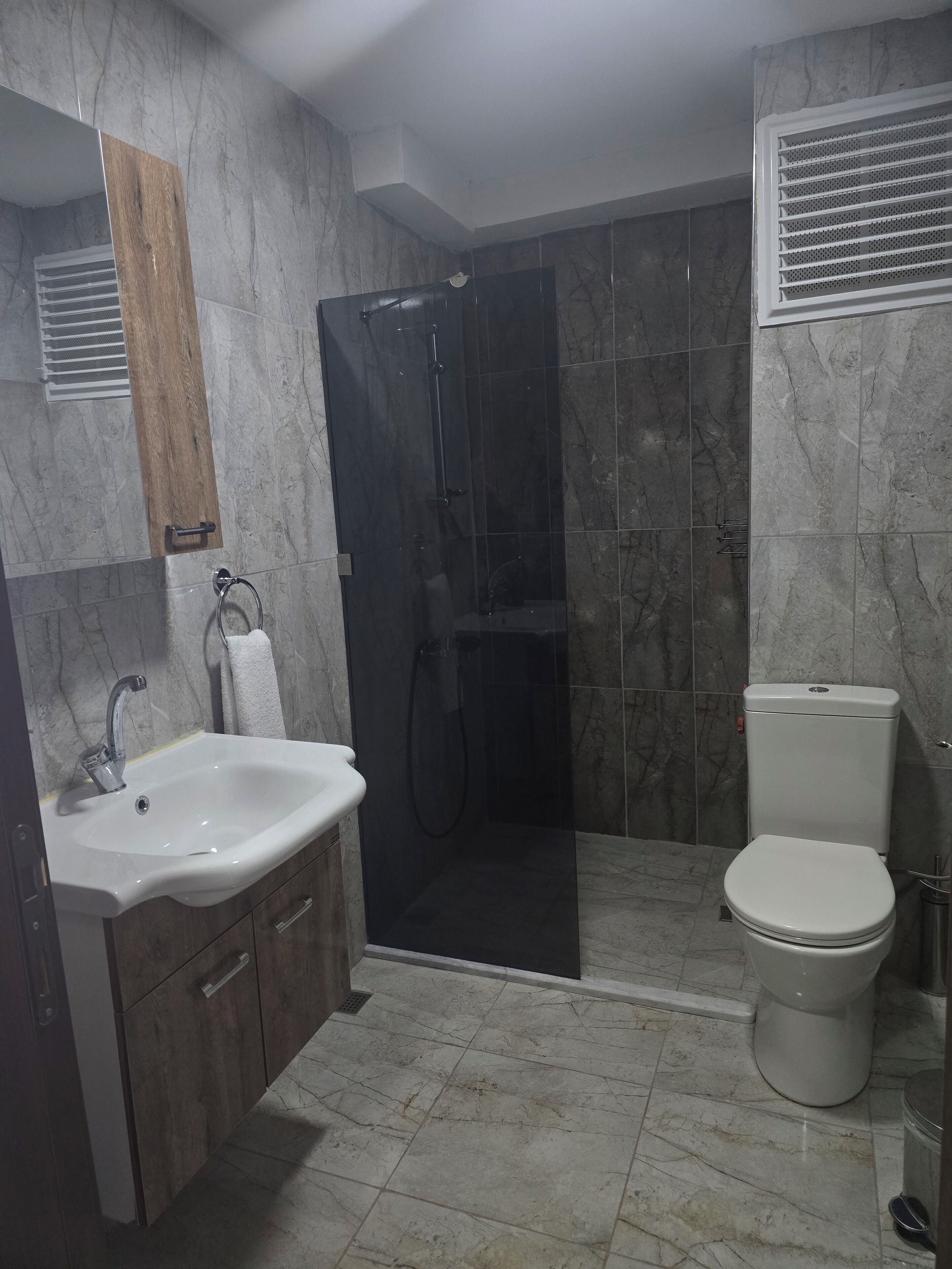 Un baño con lavamanos, inodoro y ducha.