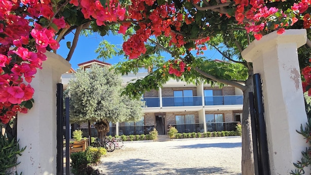 A building entrance with a gravel pathway, a white wall, and a tree with pink flowers. - OLIVE TREE APART HOTEL (Koycegiz)