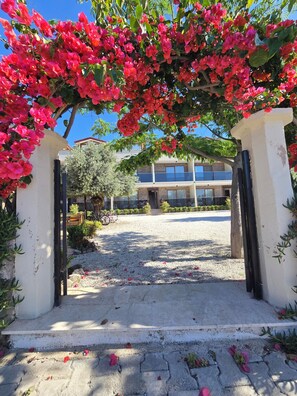 A building entrance with a gravel pathway, a white wall, and a tree with pink flowers. - OLIVE TREE APART HOTEL (Koycegiz)
