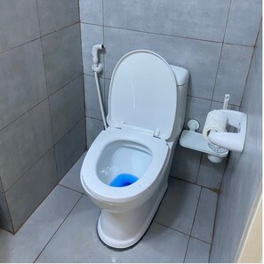 Chuveiro, bidê, toalhas de banho, sabonete