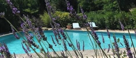 حمّام سباحة خارجي