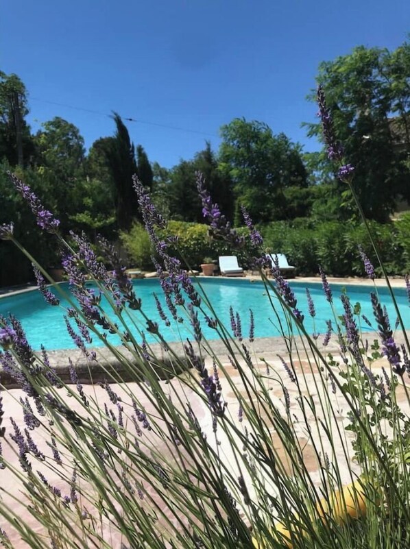 Piscine extérieure