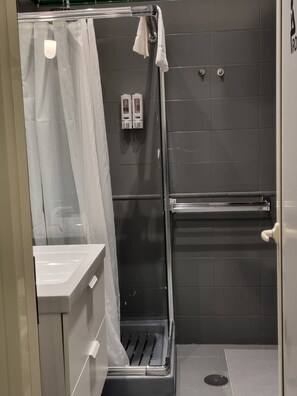 Shower, hair dryer, bidet, towels