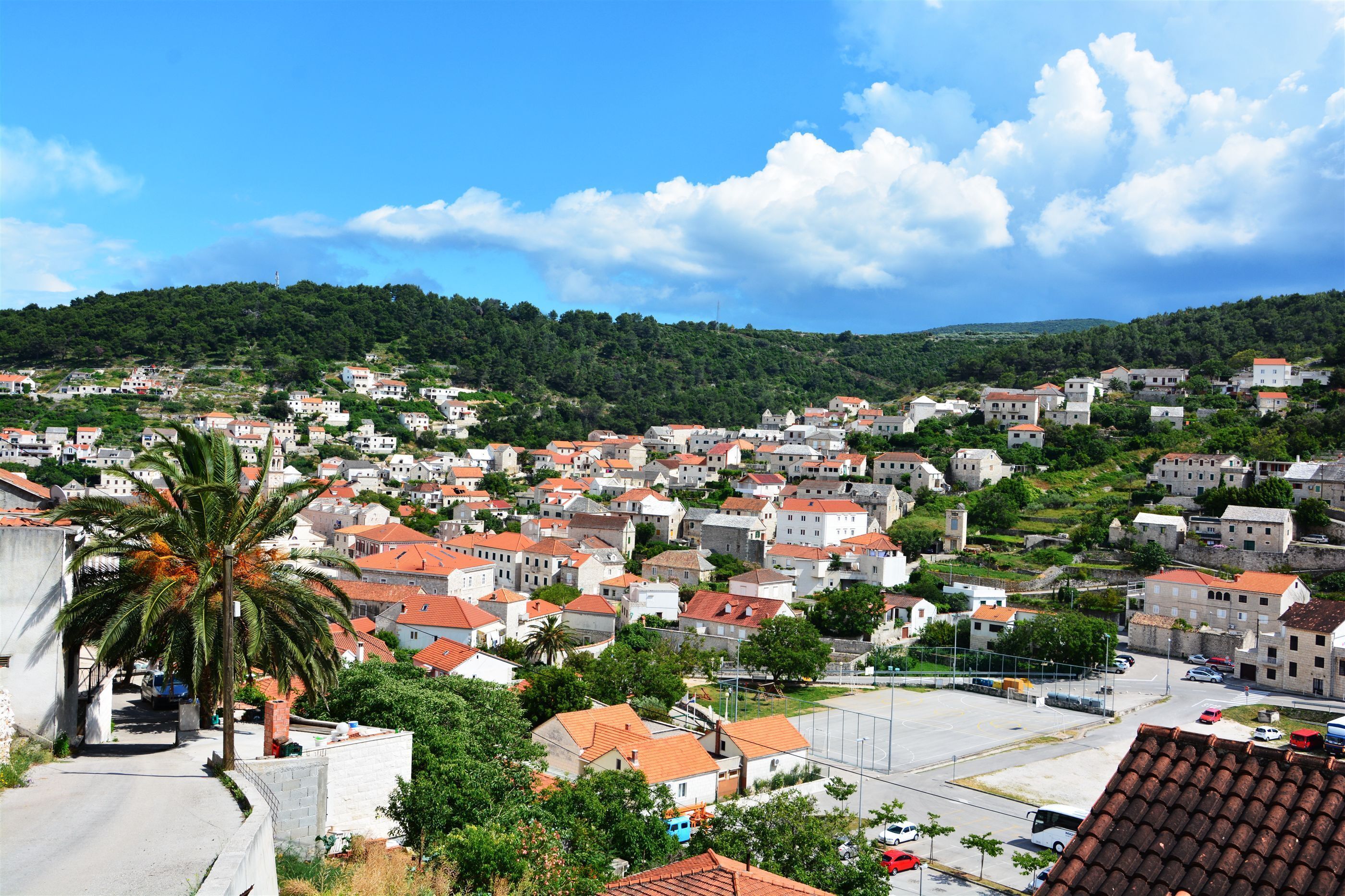 Une ville côtière aux bâtiments blancs, avec un palmier et un ciel dégagé.