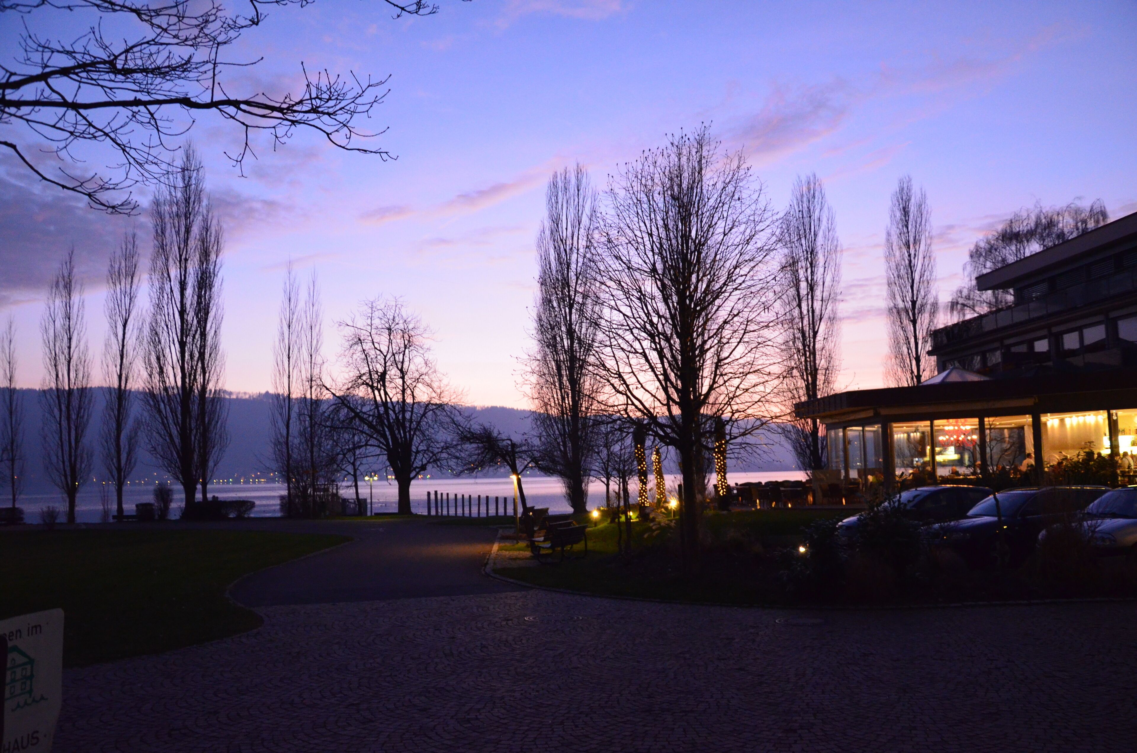 A lakeside view with a building featuring large windows and outdoor seating.